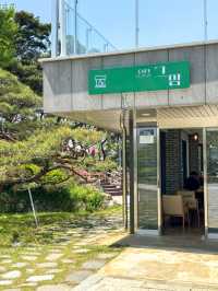 지도에도 안 나오는 1,000원 뷰맛집 카페