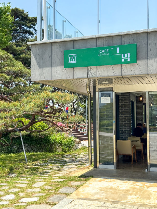 지도에도 안 나오는 1,000원 뷰맛집 카페