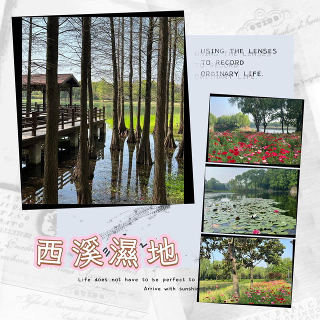 ～西溪濕地～自然之美～