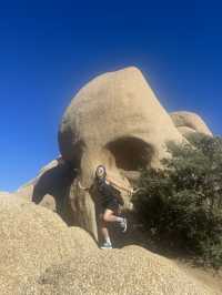 Joshua Tree 國家公園：在沙漠裡的國家公園！