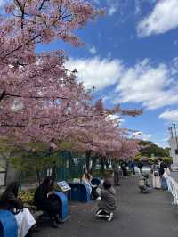 東京小眾景點推薦—清澄白河