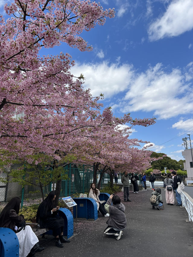 東京小眾景點推薦—清澄白河