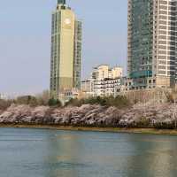 Seokchon Lake (Seoul)