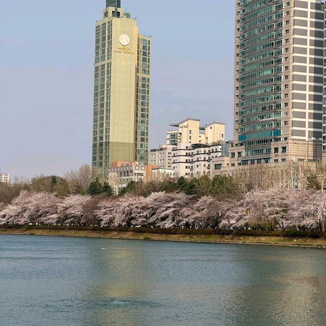 Seokchon Lake (Seoul)