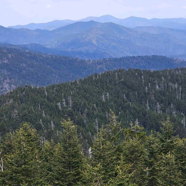 Clingmans Dome – Great Smoky Mountains, TN