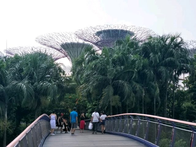 #濱海灣花園Gardens By The Bay-新加坡