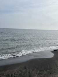 A Day in Kamakura – Culture, Nature & Coastal Charm