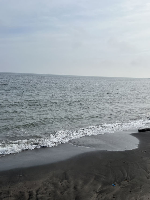 A Day in Kamakura – Culture, Nature & Coastal Charm
