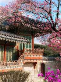 🌆✨ Seoul Searching! – Your Ultimate Guide to the Soul of South Korea 🇰🇷💖