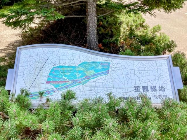 星観緑地，介於札幌與小樽之間的賞櫻名所