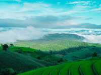 นาขั้นบันไดที่ใหญ่และสวยงามมาก