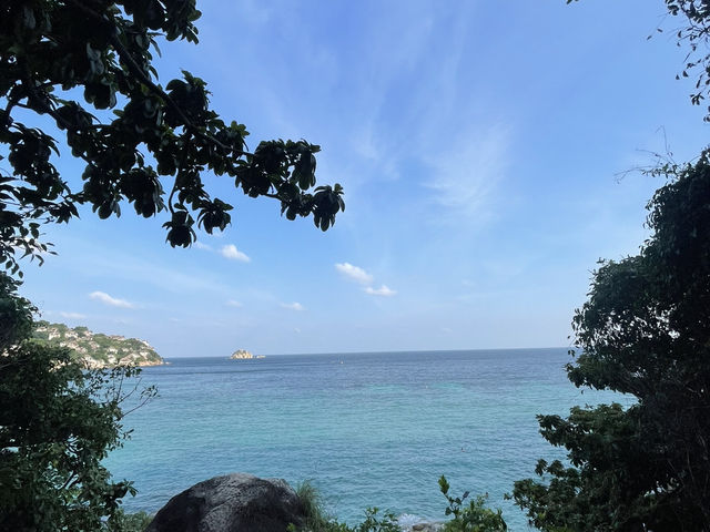 泰忘情獨旅女孩🐢文青龜島顛覆你的想像
