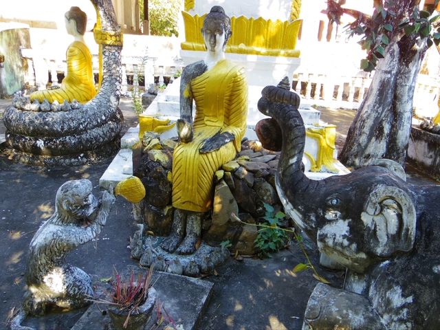 【ラオス🇱🇦】シーパンドンのお寺ワットコーンタイ