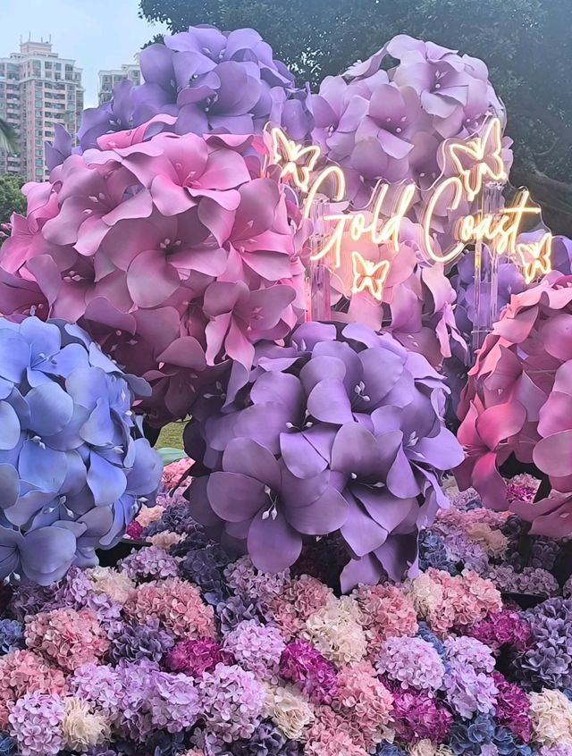 屯門黃金海岸繡球花節