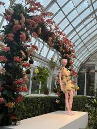 The Bronx in Bloom: The Orchid Show at NYBG