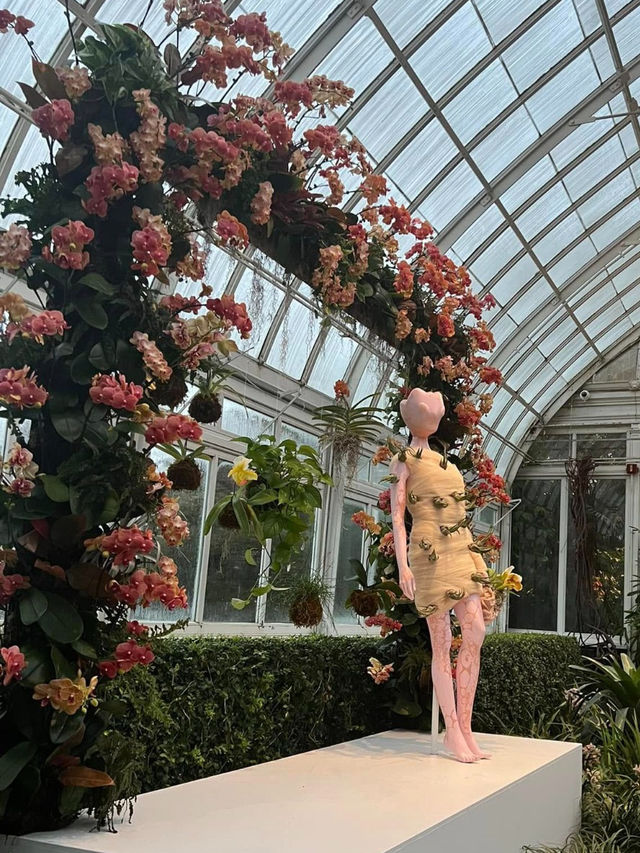 The Bronx in Bloom: The Orchid Show at NYBG