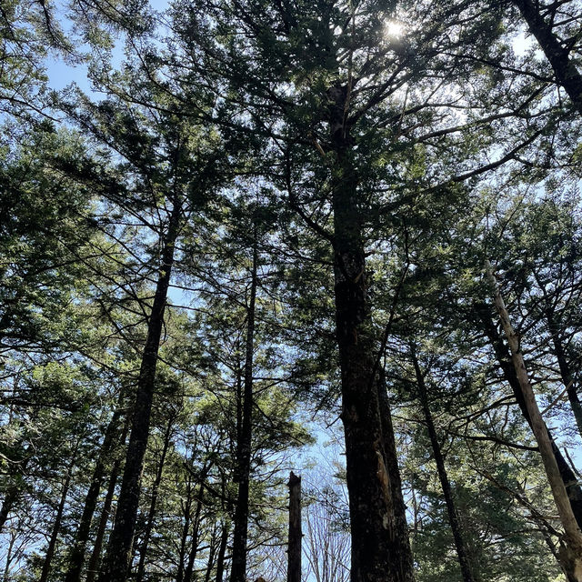 【長野】人生で一度は行きたい絶景スポット🏔️