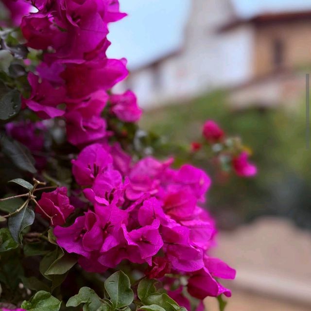 Mission San Juan Capistrano – San Juan Capistrano, CA