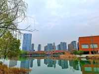 Flower Bloom in Changsha 🌼