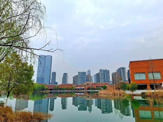 Flower Bloom in Changsha 🌼