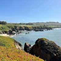 Where land ends, stories begin—Pigeon Point Lighthouse awaits.