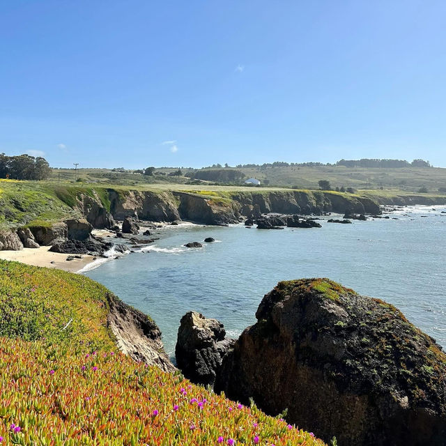 Where land ends, stories begin—Pigeon Point Lighthouse awaits.