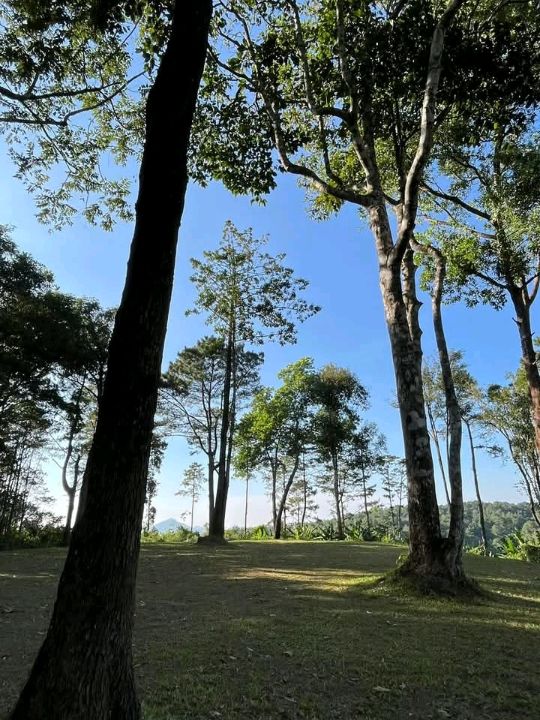 ดอยผาแดง