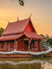 วัดป่าคลอง11