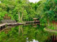 🌿 Sirinthon Peat Swamp Forest: A Backpacker’s Guide to Thailand’s Mysterious Wetland Wonder!