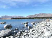 ขับรถเที่ยวเกาะใต้นิวซีแลนด์ - Lake TEKAPO