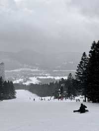 🇯🇵 🏂 My First Snowboarding Experience at Tomamu