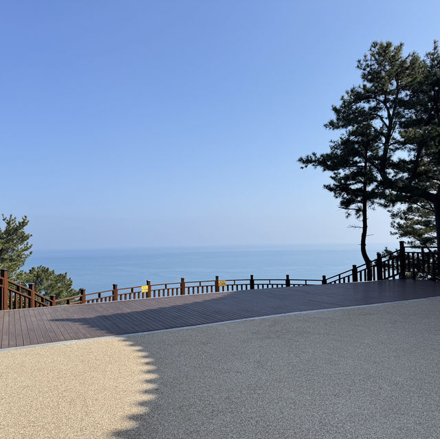 해운대 달맞이길
