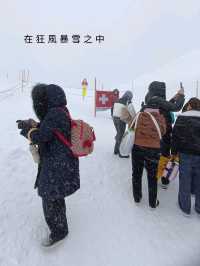 【零下11度 • 我在歐洲之巔】先失敗後成功！最終登上了少女峰！