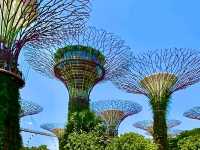 Gardens by the Bay – Singapore’s Futuristic Eden