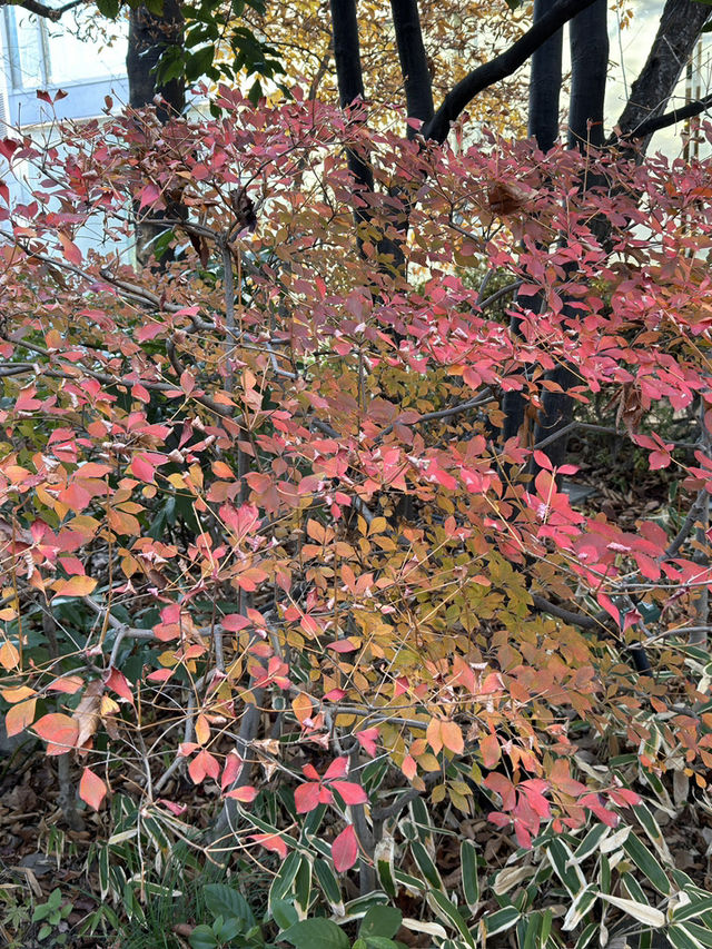 大阪交通攻略｜梅田藍天大廈