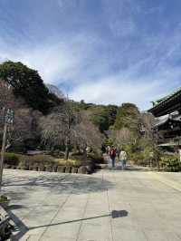 Hasedera Temple ✨ วัดเก่าแก่ในเมือง Kamakura