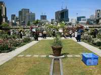 Nakanoshima Park – A Serene Oasis in the Heart of Osaka