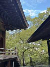 : 「港女征服金刀比羅宮！785級天梯爬上去你可以實現願望+神馬禁摸令 附商店街停車費回贈秘技🇯🇵」**    ---