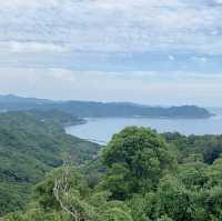 淡路島 ひたすら玉ねぎ🧅