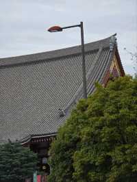 เที่ยวย่านAsakusa เดินเล่นริมแม่น้ำสุเมดะ