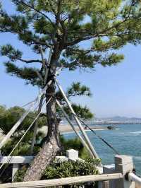 A Relaxed Day by the Sea – Exploring Katsurahama