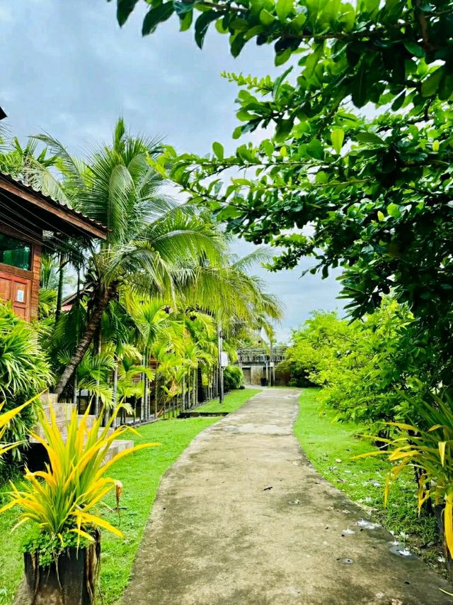 Phanumas Longstay & Resort – A Serene Garden Escape in Chiang Mai