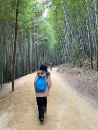 Juknokwon – Bamboo Serenity in Damyang