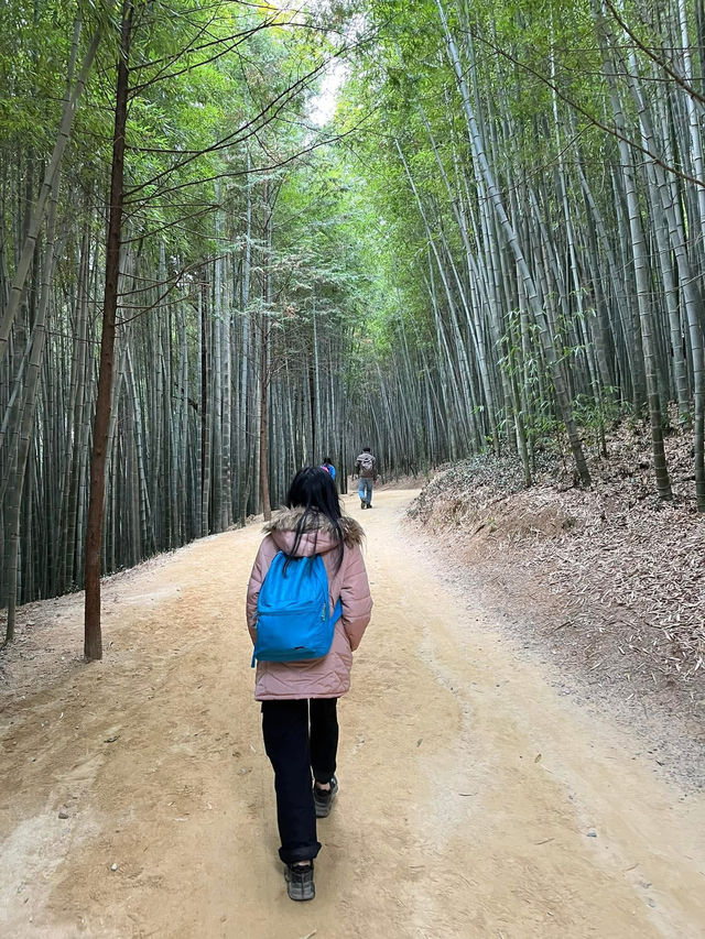 Juknokwon – Bamboo Serenity in Damyang