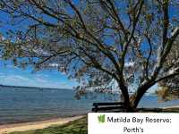 🌿 Matilda Bay Reserve: Perth’s Riverside Gem