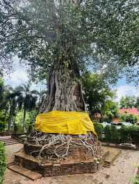 สายมูต้องมา! วัดหน้าพระเมรุ อยุธยา ขอพรพระ