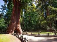 Weekend escape at Holiday Inn Express Klamath