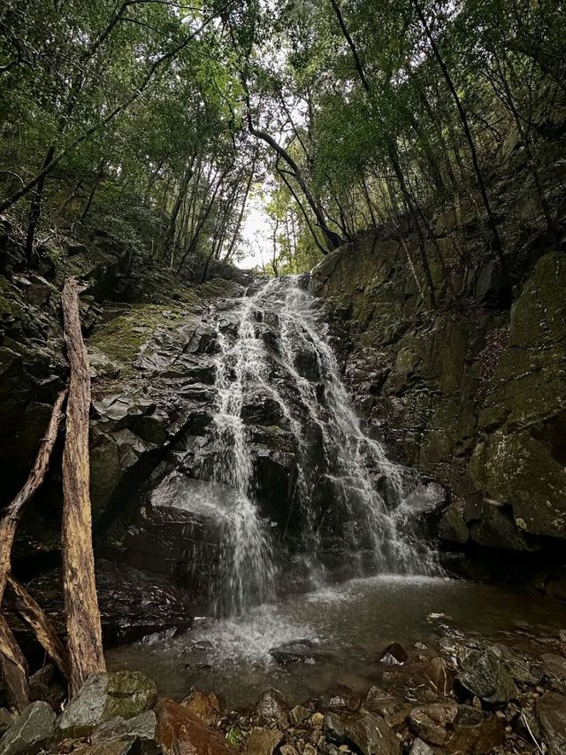 Mini Hike, Major Vibes