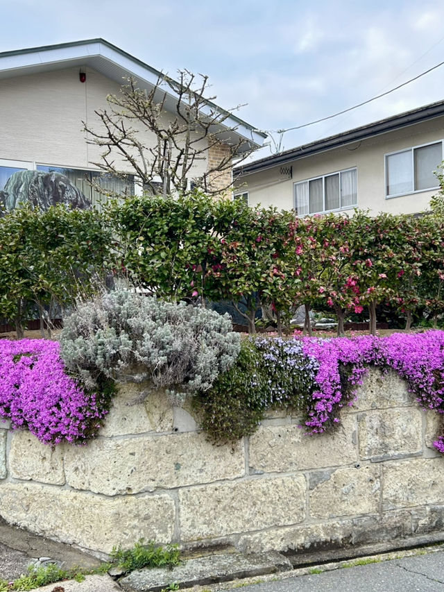 春之旅～～～～仙台賞櫻🌸