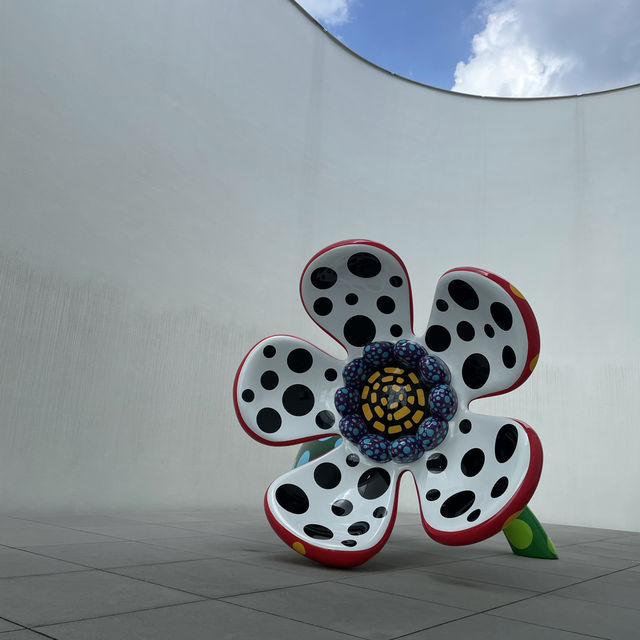 ドットは向日葵のアートが圧巻🫣🌻草間彌生の世界観が広がる美術館🫶